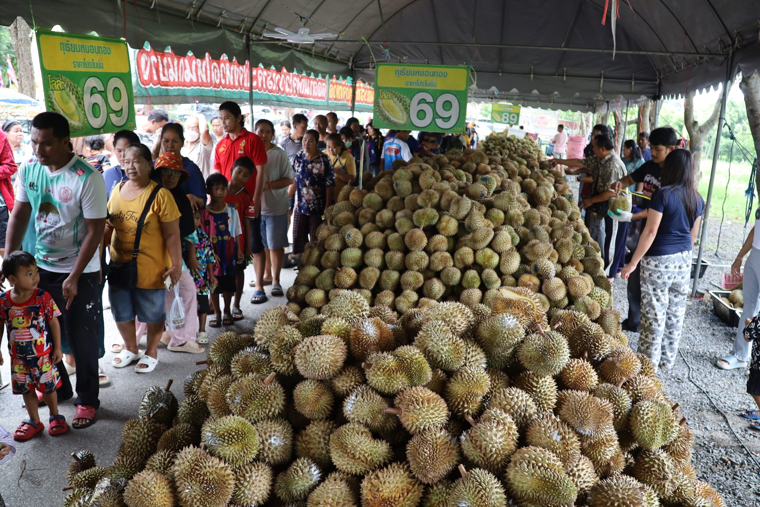 ทุเรียนลูกละ 19 บาท