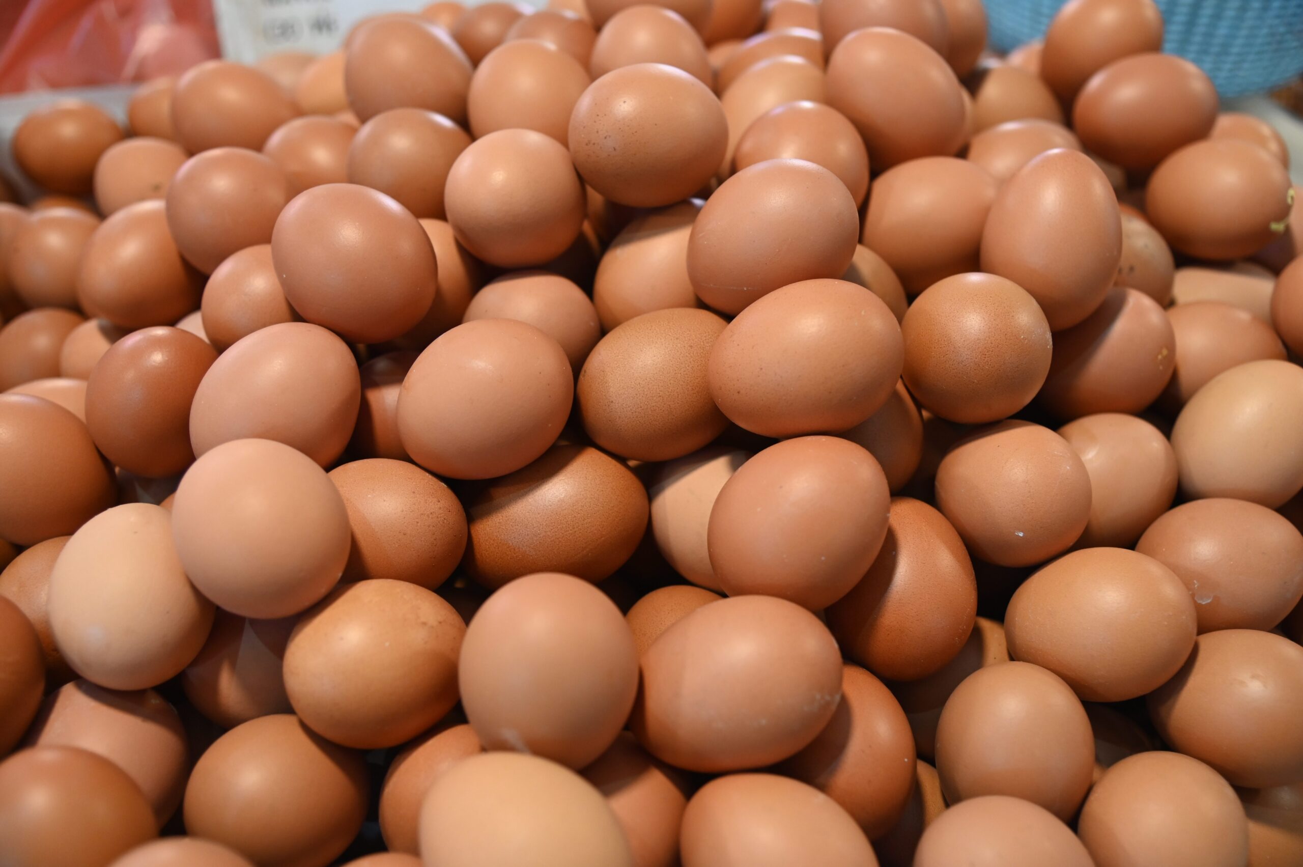 ไข่ไก่ไทยช่วยไทย