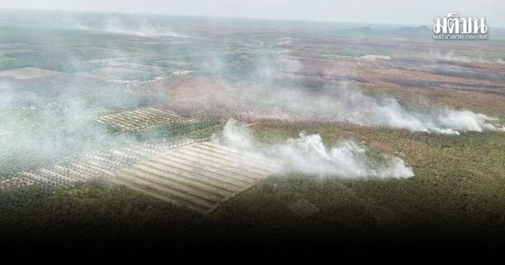Wildfire