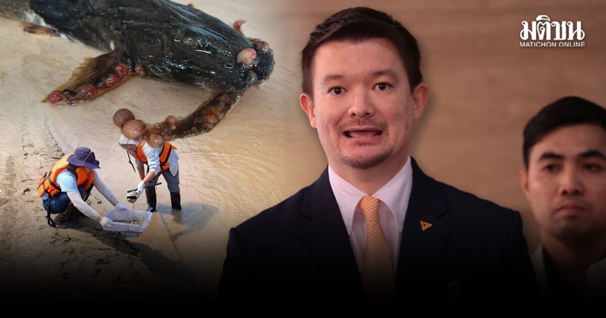 ภัทรพงษ์ ซัด TOR ไทย-พม่า ปิดปากรัฐไทย-ไร้แก้ต้นตอปัญหาสารพิษในแม่น้ำ แนะรบ. 4 ข้อแก้ก่อนเซ็น