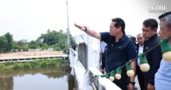 สรรเพชญ บุญญามณี