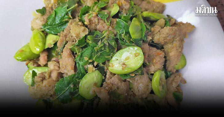 กฤช หมูผัดป่า เผ็ดร้อนใบกะเพราทุ่ง