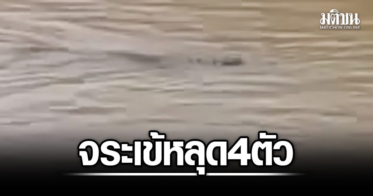뉴스 사진