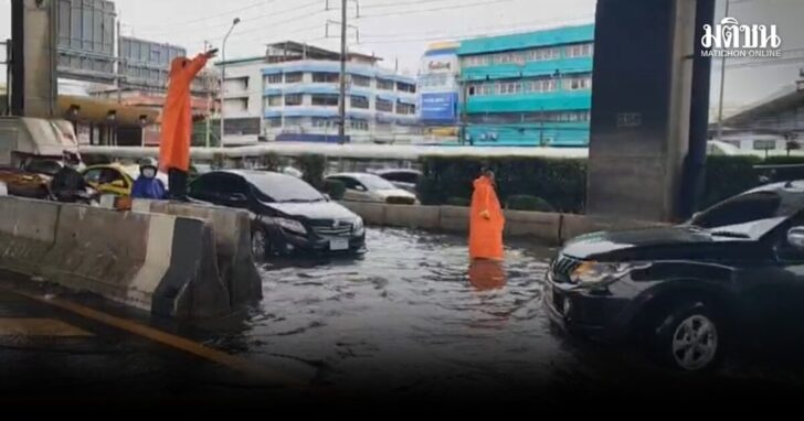 4339113