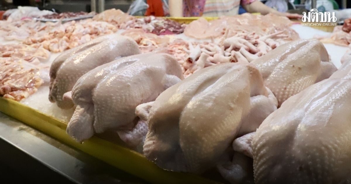 ส.ผู้ผลิตไก่เนื้อ มั่นใจปี 70 ส่งออกพลิกบวก 2% ญี่ปุ่น-เกาหลีใต้ ตลาดทำเงิน