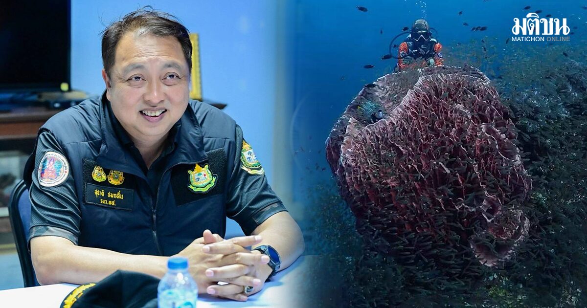 สุชาติ เปิดฤดูเที่ยวทะเลอันดามัน ชูแหล่งท่องเที่ยวระดับโลก สั่งกรมอุทยานฯ คุมเข้มความปลอดภัย ย้ำท่องเที่ยวควบคู่อนุรักษ์