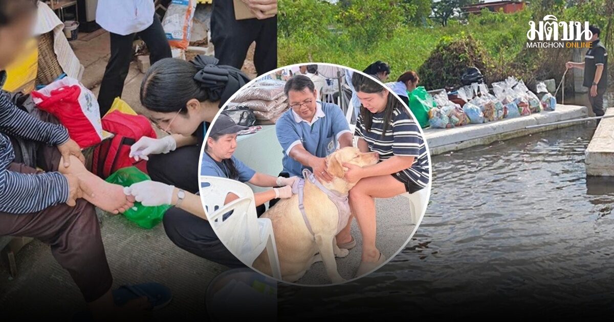 กทม.ส่ง ‘220 ทีมหมอฉุกเฉิน’ เดินหน้าฮีลผู้ประสบภัย – ตรวจสุขภาพแล้วกว่า 2.4 หมื่นเคส – แจกอาหารสัตว์กว่า 9.5 ตัน