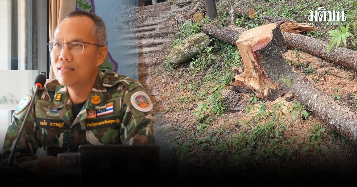 หน.อุทยานสุเทพ รับไม่ได้ตัดต้นไม้ ลุยแจ้งความเอาผิด แจงอนุญาตวาจาให้ปรับภูมิทัศน์