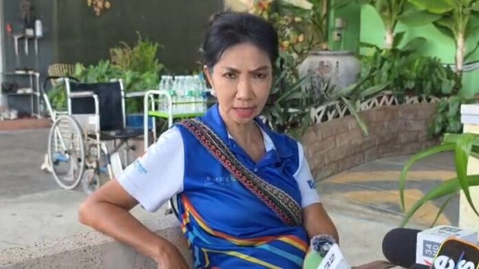 ป้าแมว