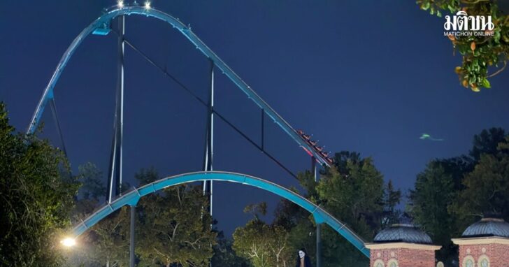 Roller Coaster Death